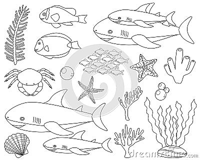 Set cute shark and sea elements fish crab algae corals seashell starfish in black and white color vector illustration Stock Photo
